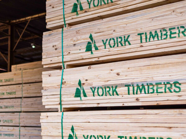 York Timbers Internship