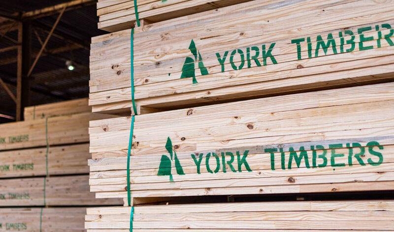 York Timbers Internship